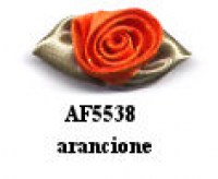 APPLIC/FIORI RASO 5538 PZ 48
