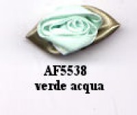 APPLIC/FIORI RASO 5538 PZ 48