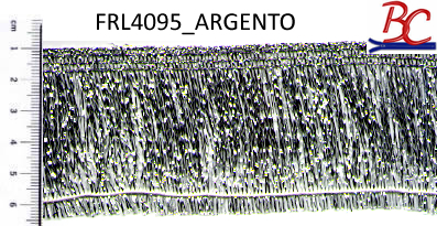 FRL4095_ARGENTO