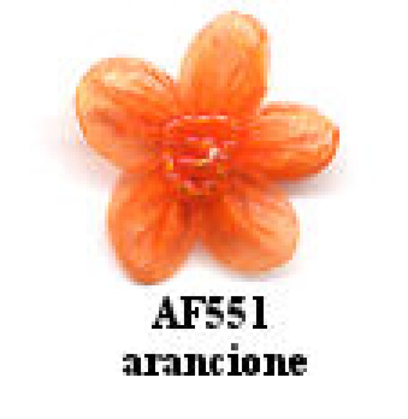 APPL.FIORE ORGANZA C/PERLINE PZ.25