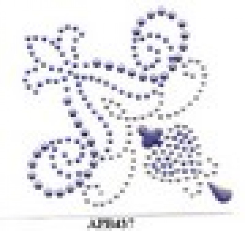 Applicazioni in strass