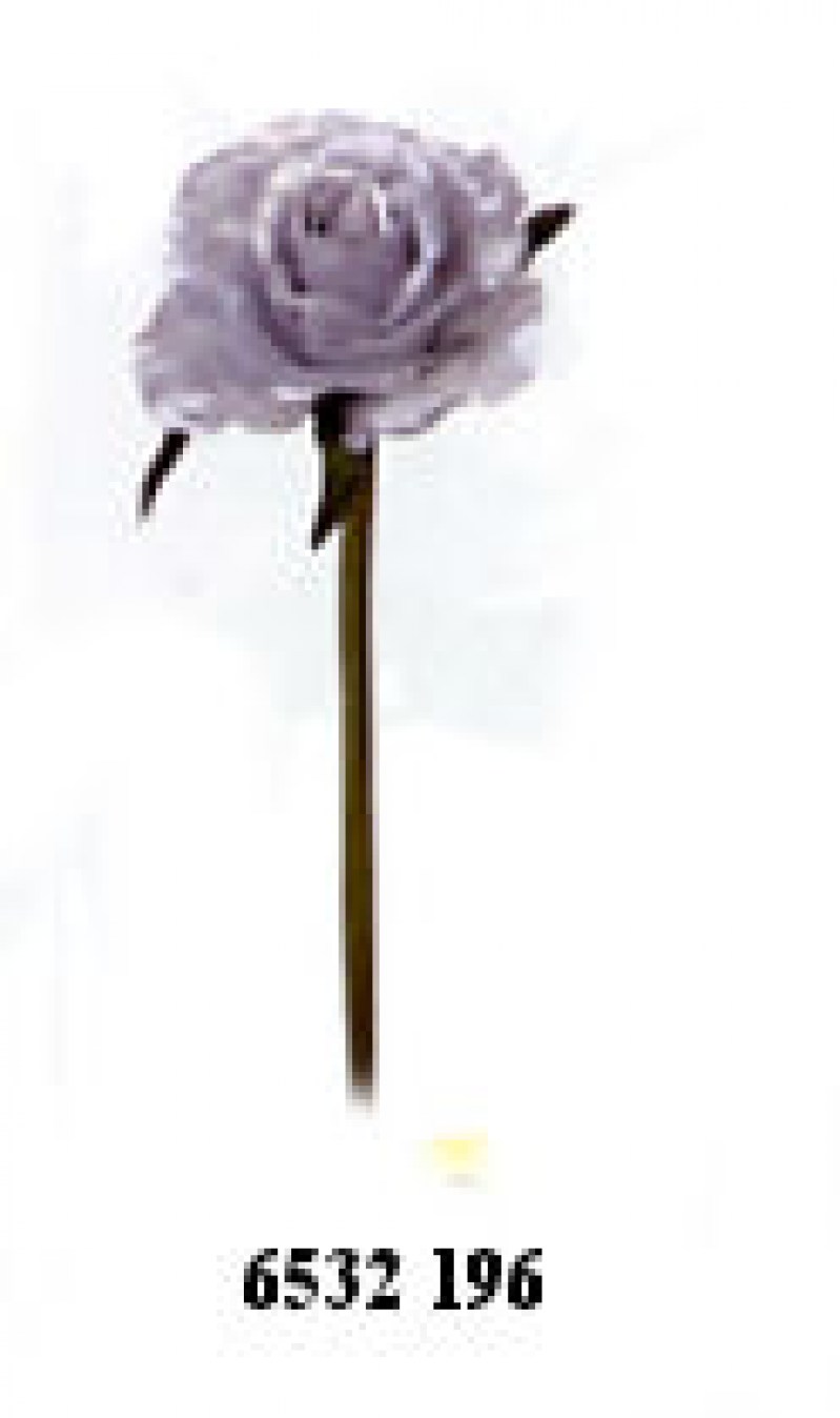 ROSA cm.20