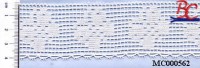 MERLETTO COTONE MT.10