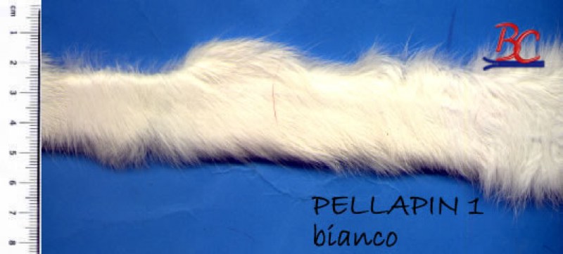 PELLICCIA LAPIN CM1  MT.10